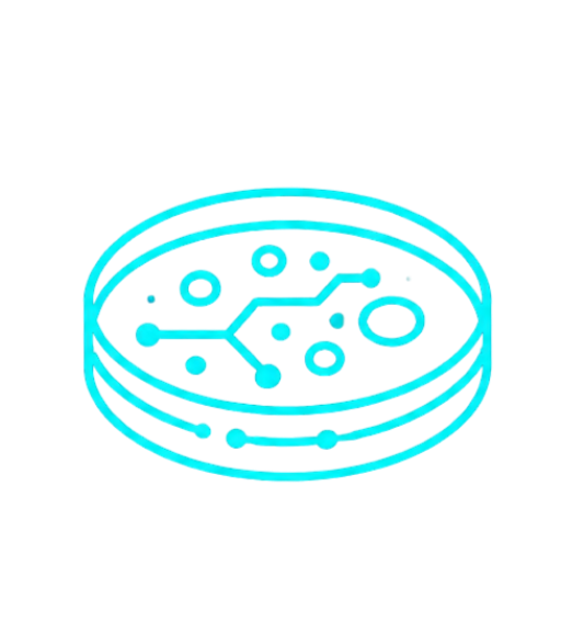 bacteriología